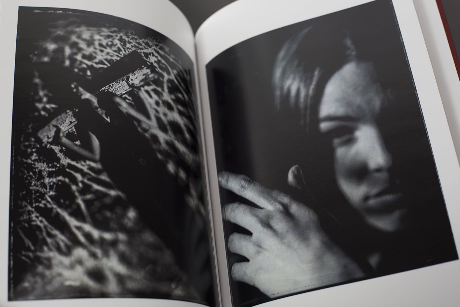 Beauty Distorts 写真集の紹介写真 2