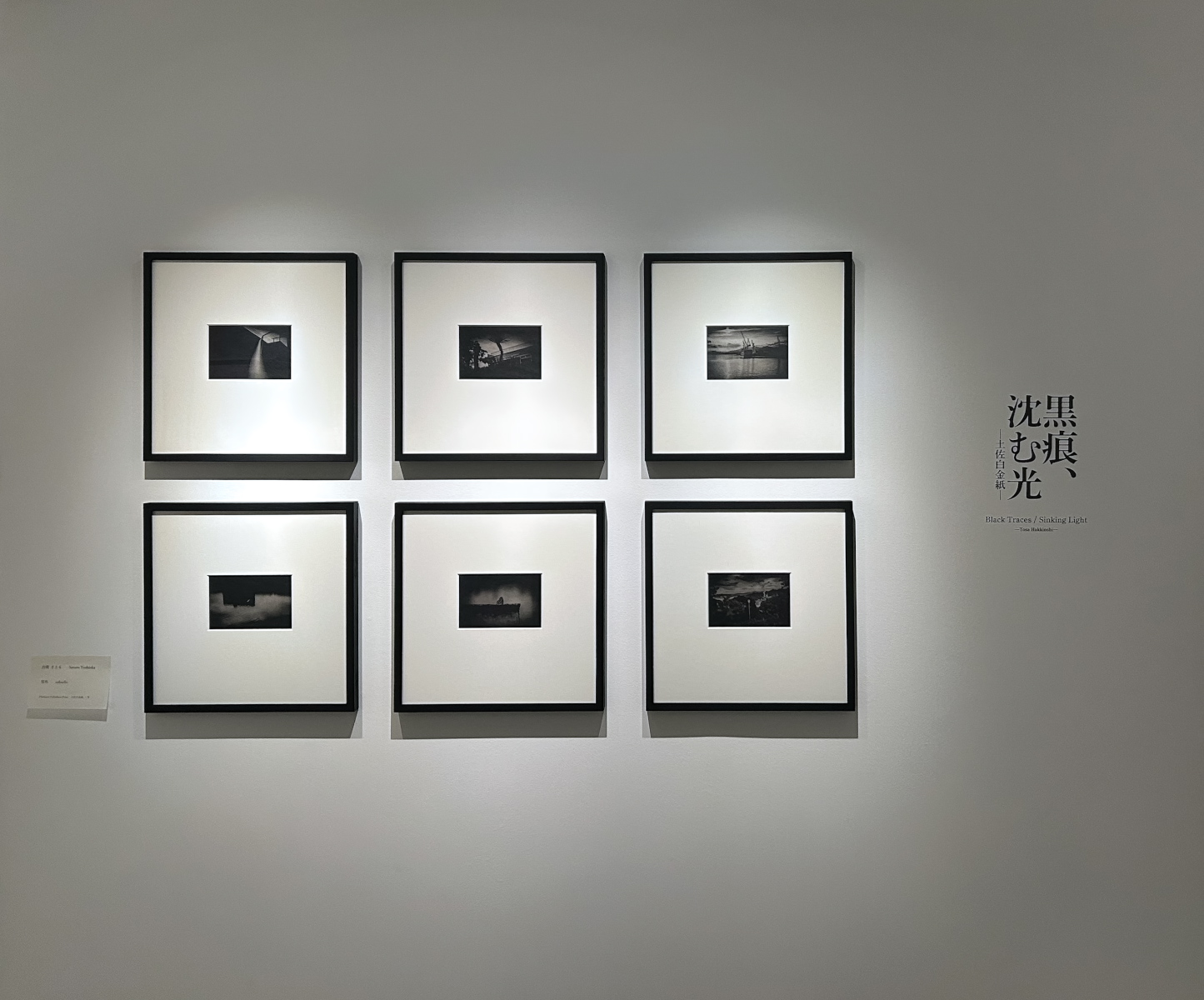 「黒痕、沈む光 —土佐白金紙—」の紹介写真