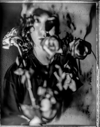 Beauty distorts — 073A1033