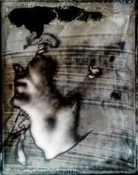 Beauty distorts — 073A1070