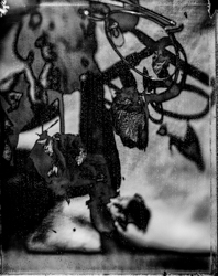Beauty distorts — 073A1053