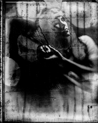 Beauty distorts — 073A1054
