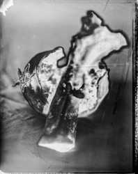 Beauty distorts — 073A1072