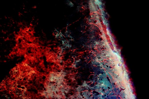 「the universe of the brain」の紹介写真