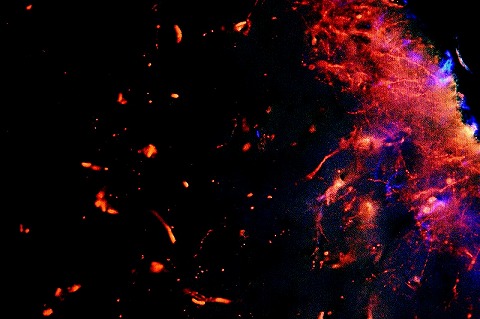 the universe of the brain — 写真 4