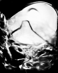Beauty Distorts, work 073A1045