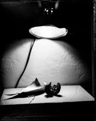 Beauty Distorts, work 073A1077