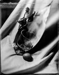 Beauty Distorts, work 073A1084