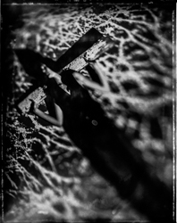 Beauty Distorts, work 073A1091