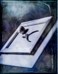 Beauty Distorts, work 073A1126