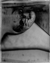Beauty Distorts, work 073A1130