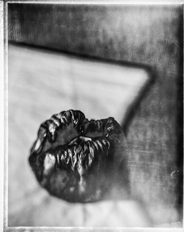 A monochrome still life from Beauty Distorts, work 073A1075