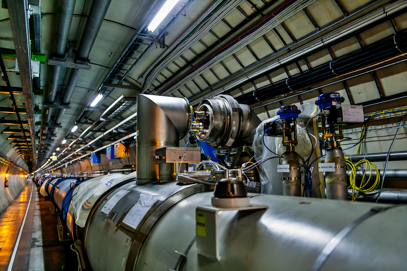 Coloured cables and intricate equipment photographed at CERN by Satoru Yoshioka