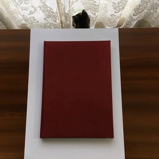 本をつくる — 写真 21